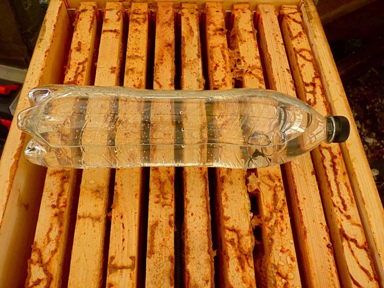 Kunststoff exquisite Verarbeitung Set Werkzeug 2 Stück für Wassertränke U-M Imkerzucht-Futterspender für Imkereieingang Stöcke Bienenzucht-Flaschen wiederverwendbar